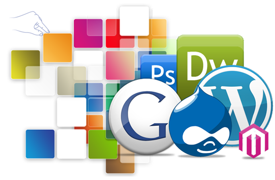 SEO Company in Kolkata