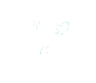 Best SMO Services in Kolkata India