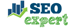 SEO Services Company in Kolkata
